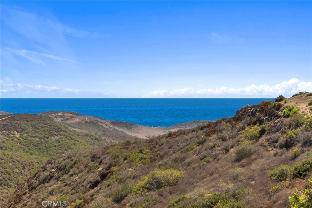 27 Pacific Mist, Newport Coast CA 92657 - photo 36