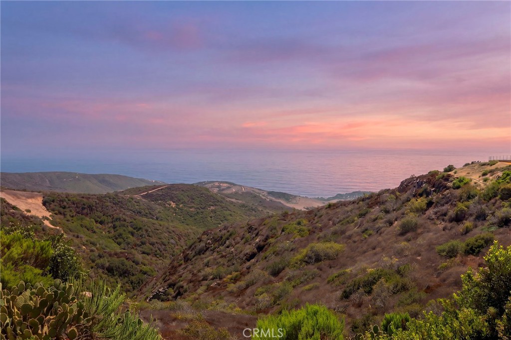 27 Pacific Mist, Newport Coast CA 92657 - photo 50