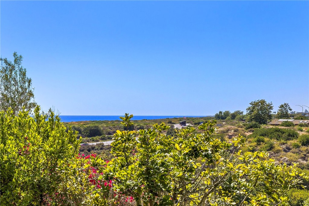 28 Sandy, Newport Coast CA 92657 - photo 9