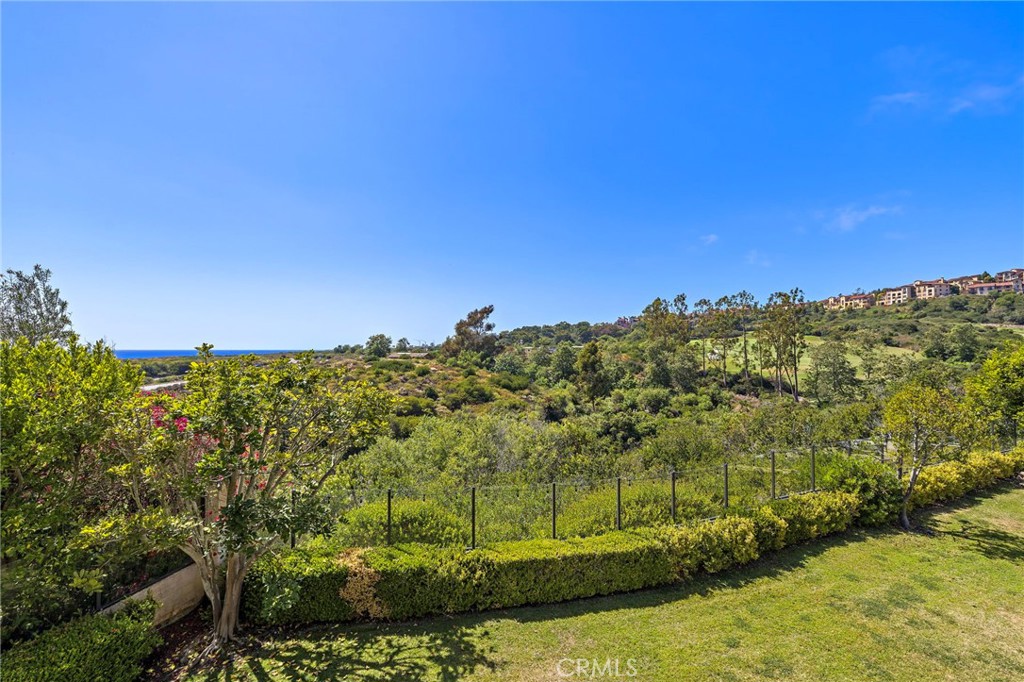 28 Sandy, Newport Coast CA 92657 - photo 59