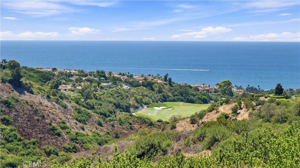 29 Bretagne, Newport Coast CA 92657 - photo 34