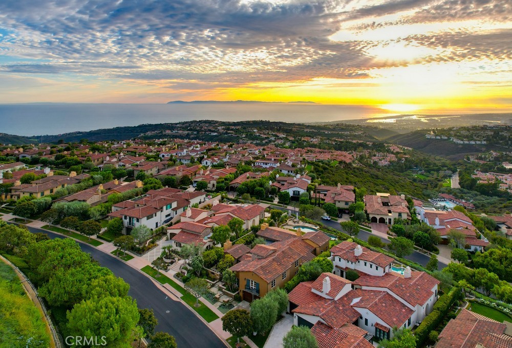 31 Overlook, Newport Coast CA 92657 - photo 7