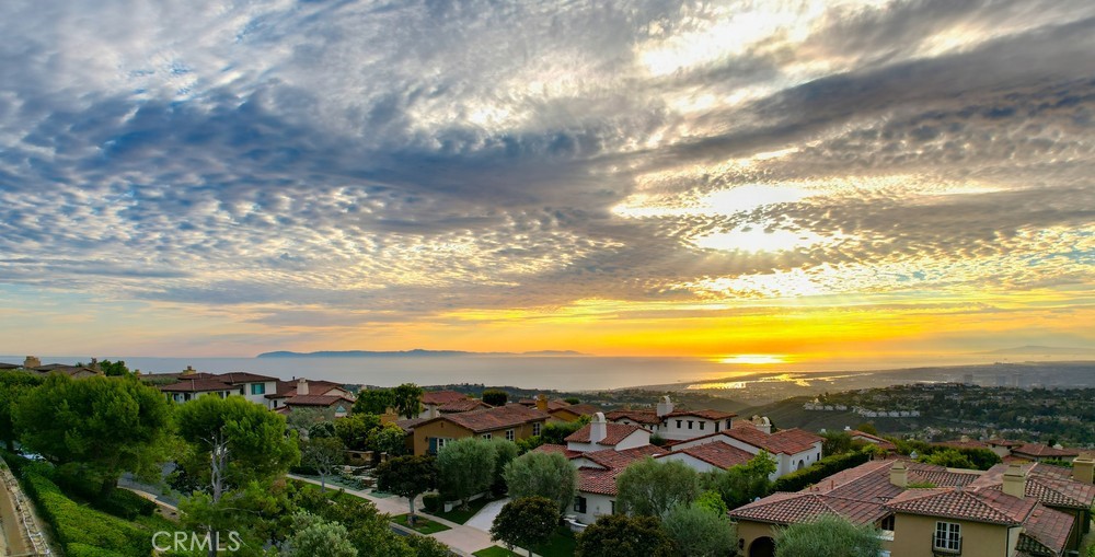 31 Overlook, Newport Coast CA 92657 - photo 67