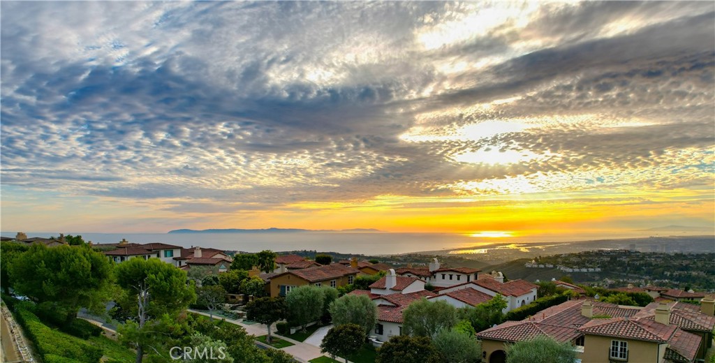 31 Overlook, Newport Coast CA 92657 - photo 36