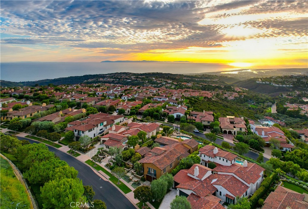 31 Overlook, Newport Coast CA 92657 - photo 37
