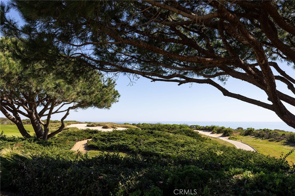 34 Pelican Point, Newport Coast CA 92657 - photo 3