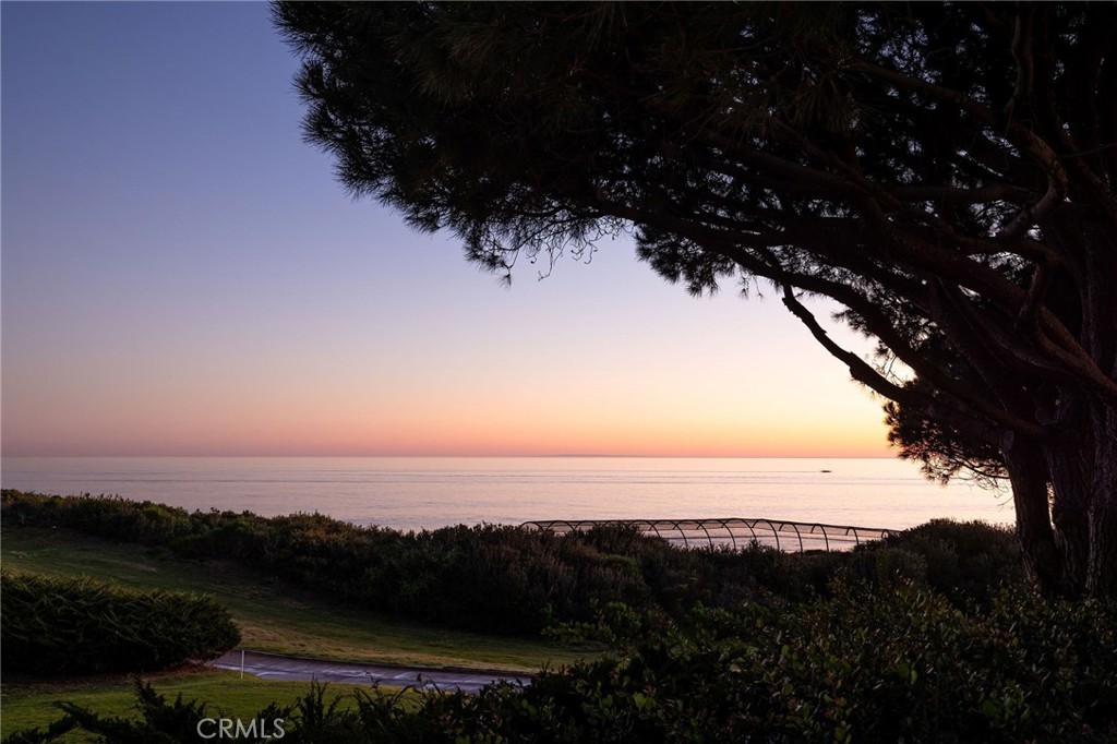 34 Pelican Point, Newport Coast CA 92657 - photo 48
