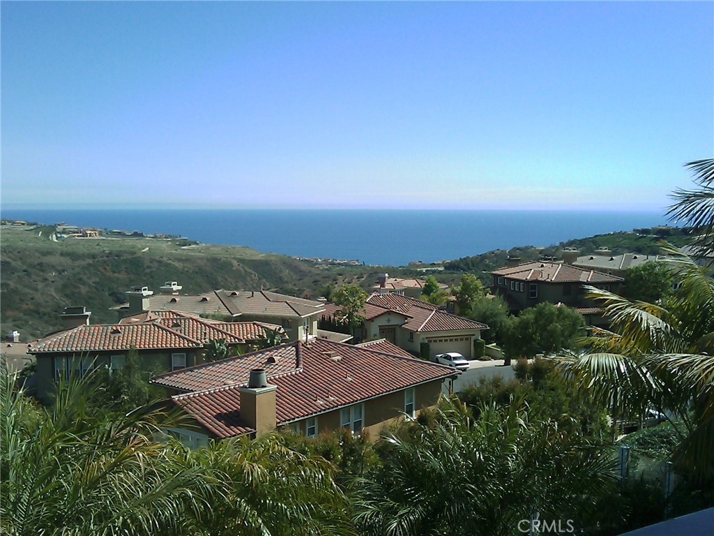 34 Sunset Cove, Newport Coast CA 92657 - photo 75