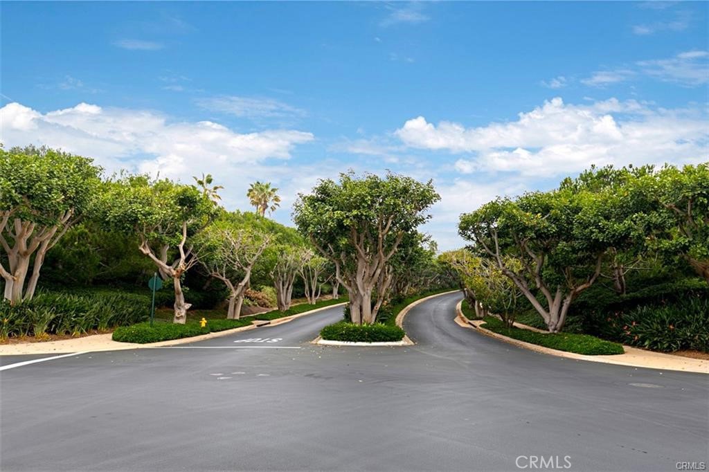 4 Baffin bay, Newport Coast CA 92657 - photo 55