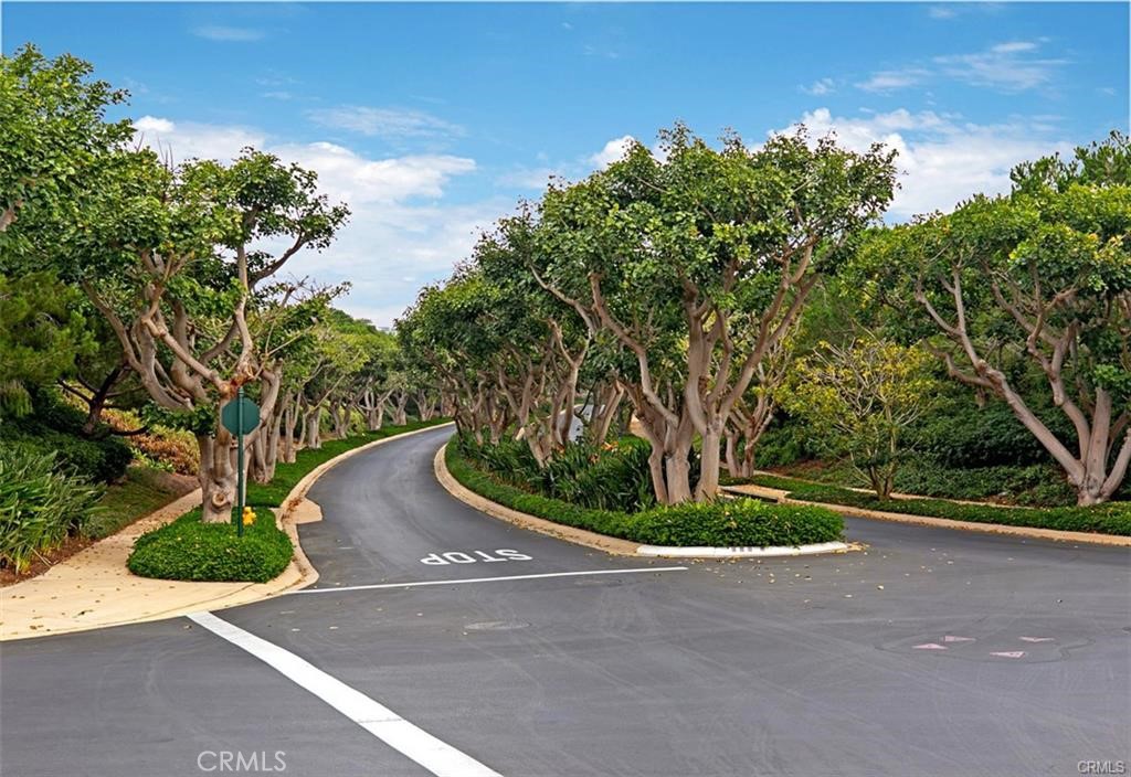 4 Baffin bay, Newport Coast CA 92657 - photo 59