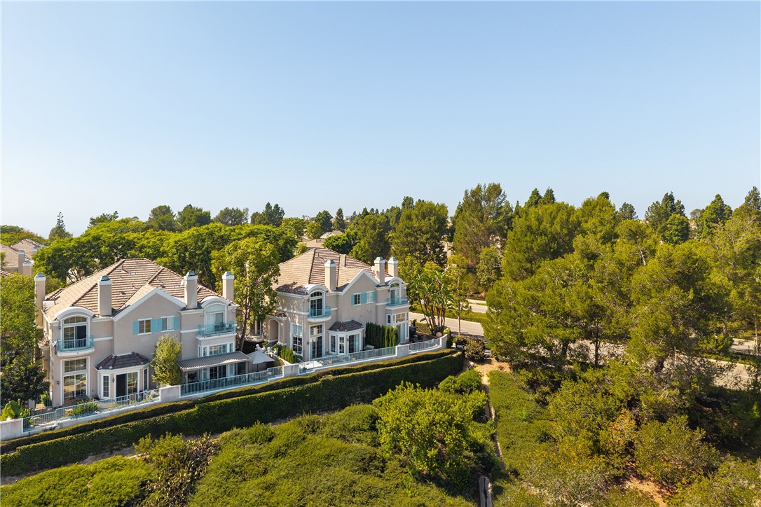 4 Chandon, Newport Coast CA 92657 - photo 33
