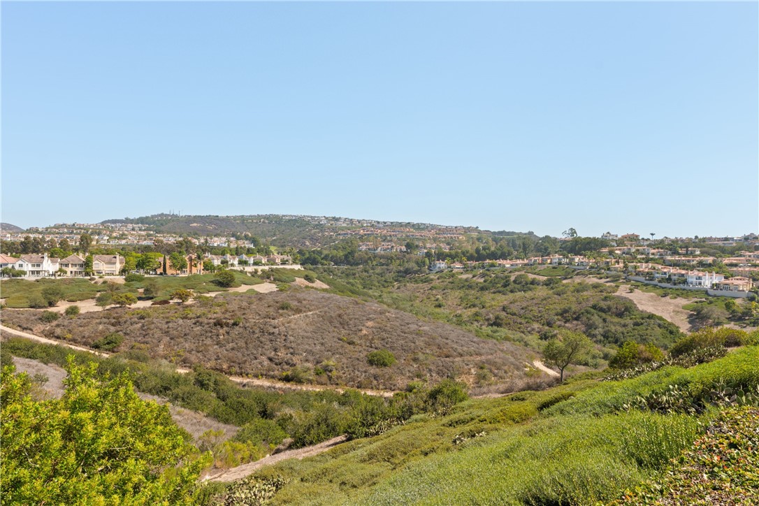 Canyon view - 4 Chandon, Newport Coast CA 92657 - photo 34