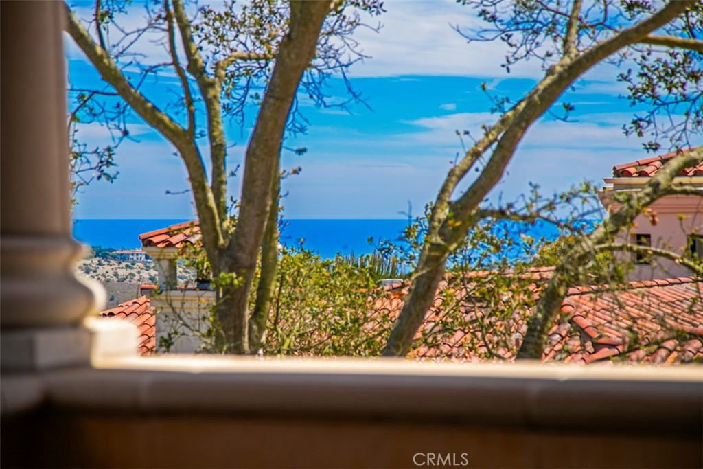 4 Clearview, Newport Coast CA 92657 - photo 40