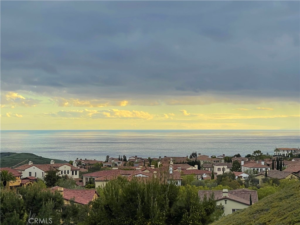 4 Highpoint, Newport Coast CA 92657 - photo 28