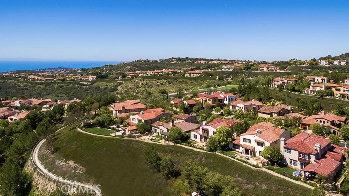 4 Highpoint, Newport Coast CA 92657 - photo 35