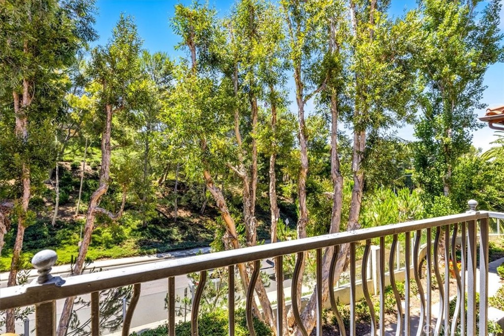 4 Veroli Court, Newport Coast CA 92657 - photo 15