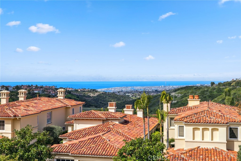 5 Torrey Pine Drive, Newport Coast CA 92657 - photo 4