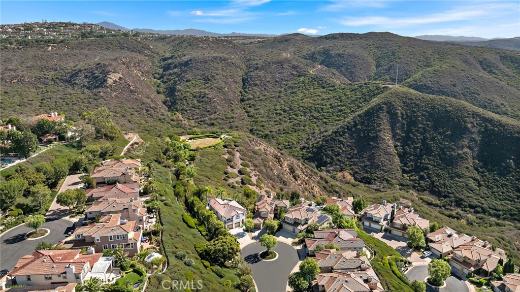 54 Coral Reef, Newport Coast CA 92657 - photo 42