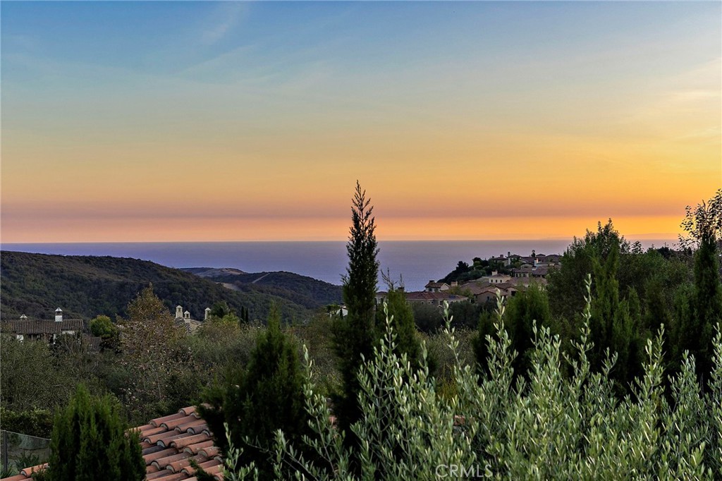 6 Canyon Peak, Newport Coast CA 92657 - photo 2