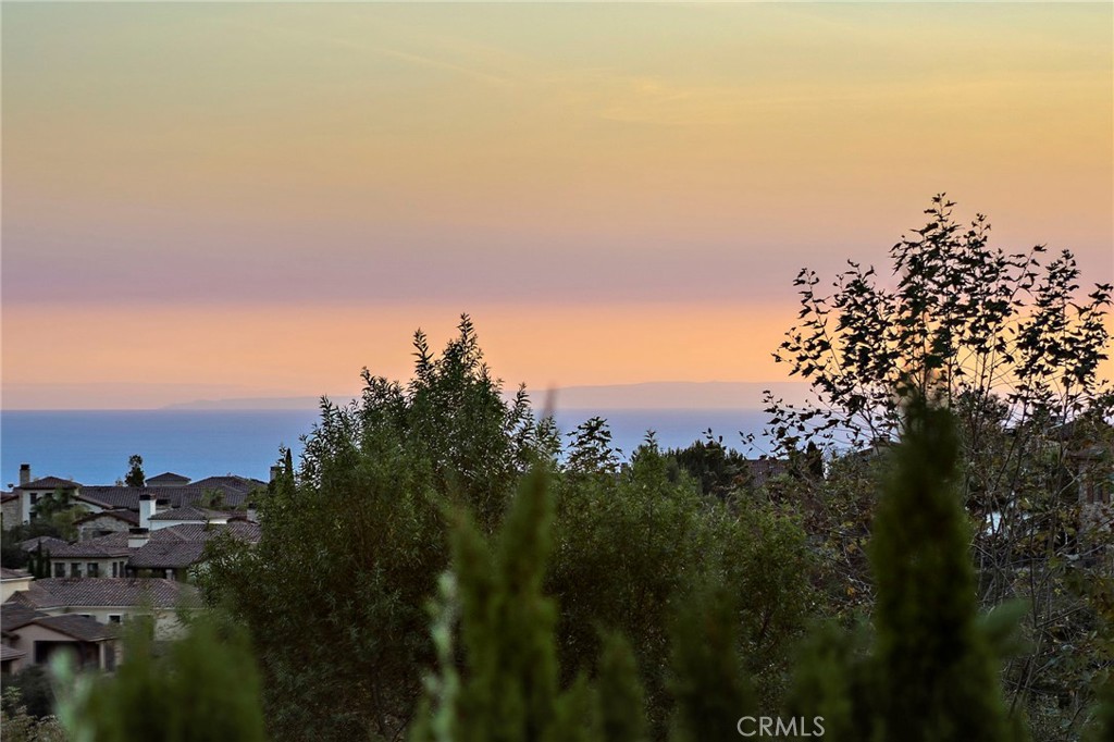 6 Canyon Peak, Newport Coast CA 92657 - photo 33