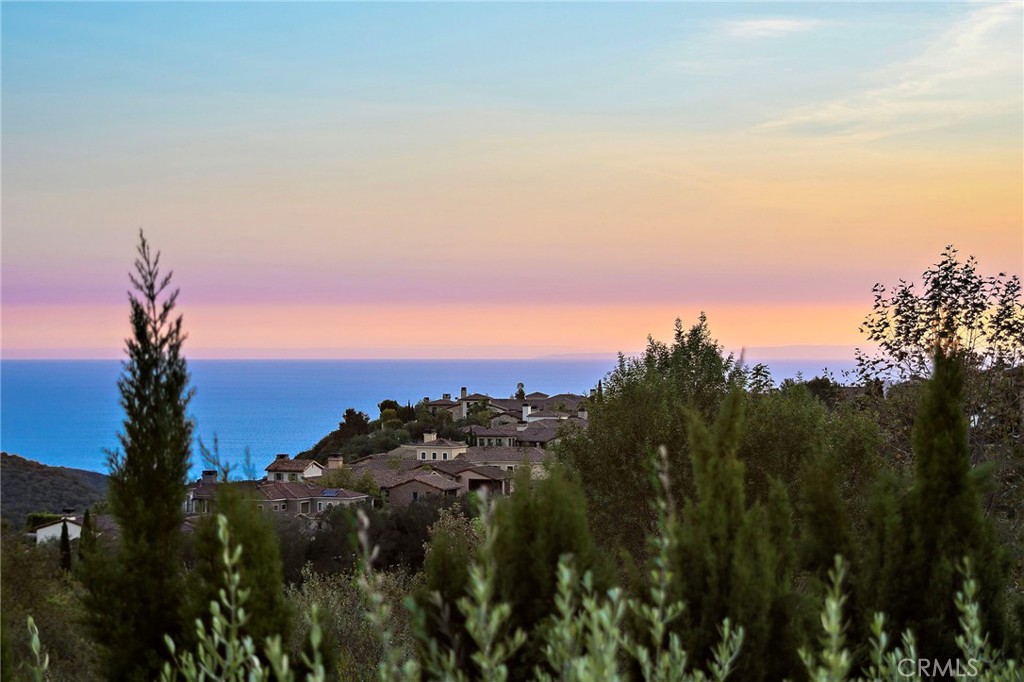 6 Canyon Peak, Newport Coast CA 92657 - photo 34