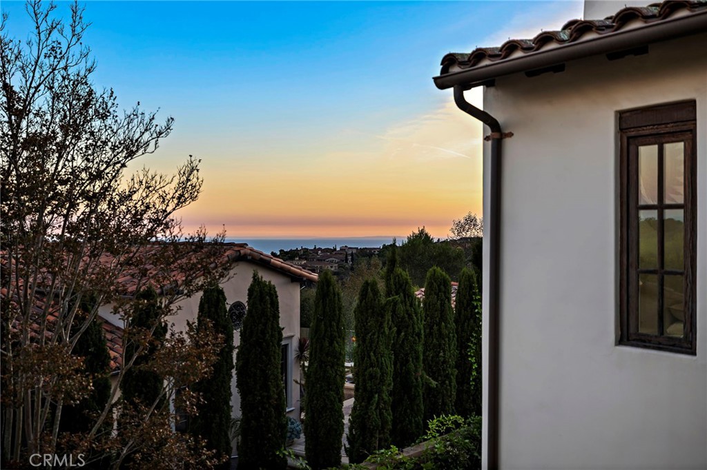 6 Canyon Peak, Newport Coast CA 92657 - photo 38