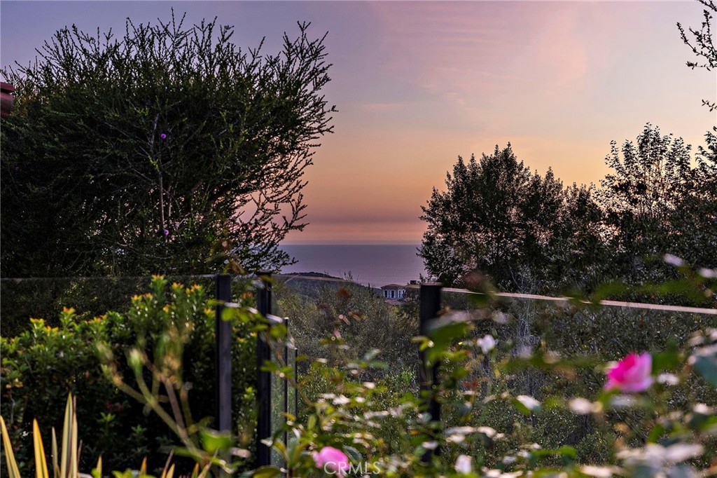 6 Canyon Peak, Newport Coast CA 92657 - photo 56