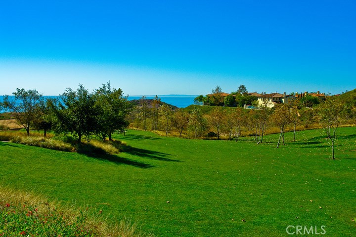 6 Gentle Breeze, Newport Coast CA 92657 - photo 43
