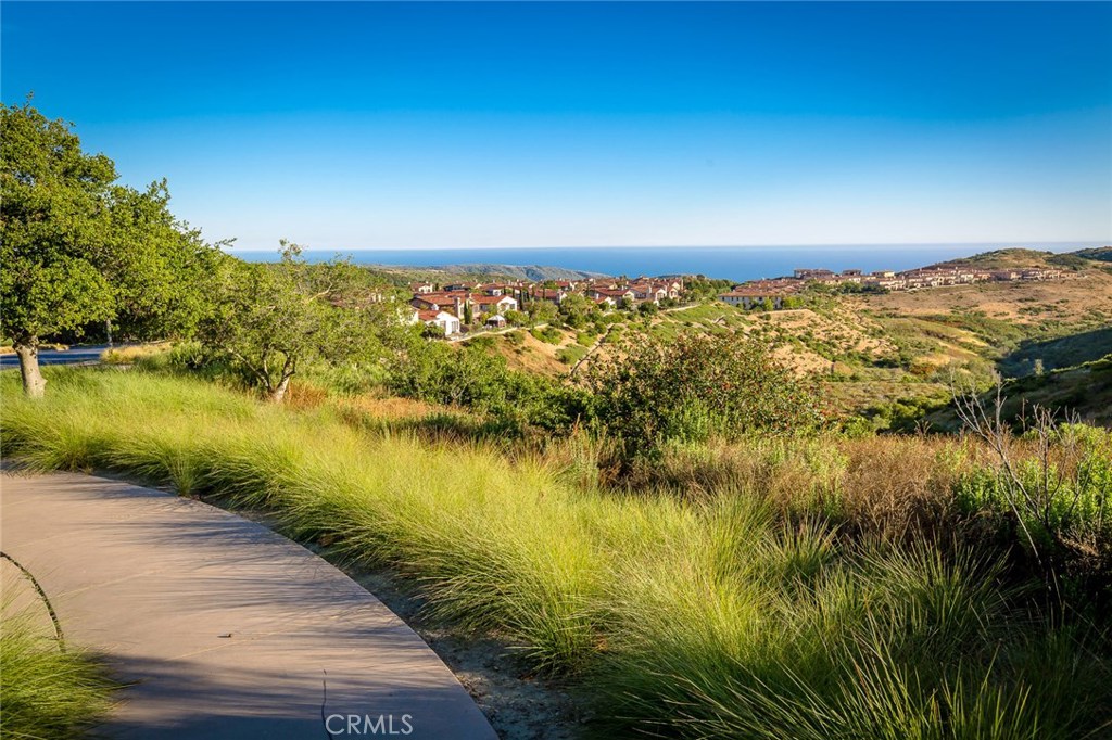 6 Gentle Breeze, Newport Coast CA 92657 - photo 48