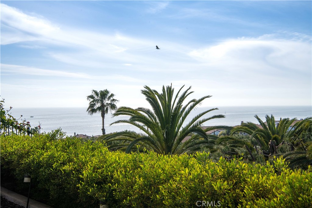 Rear view - 6 Surfspray Bluff, Newport Coast CA 92657 - photo 3