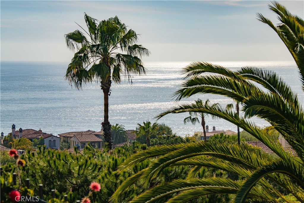 Backyard View - 6 Surfspray Bluff, Newport Coast CA 92657 - photo 4