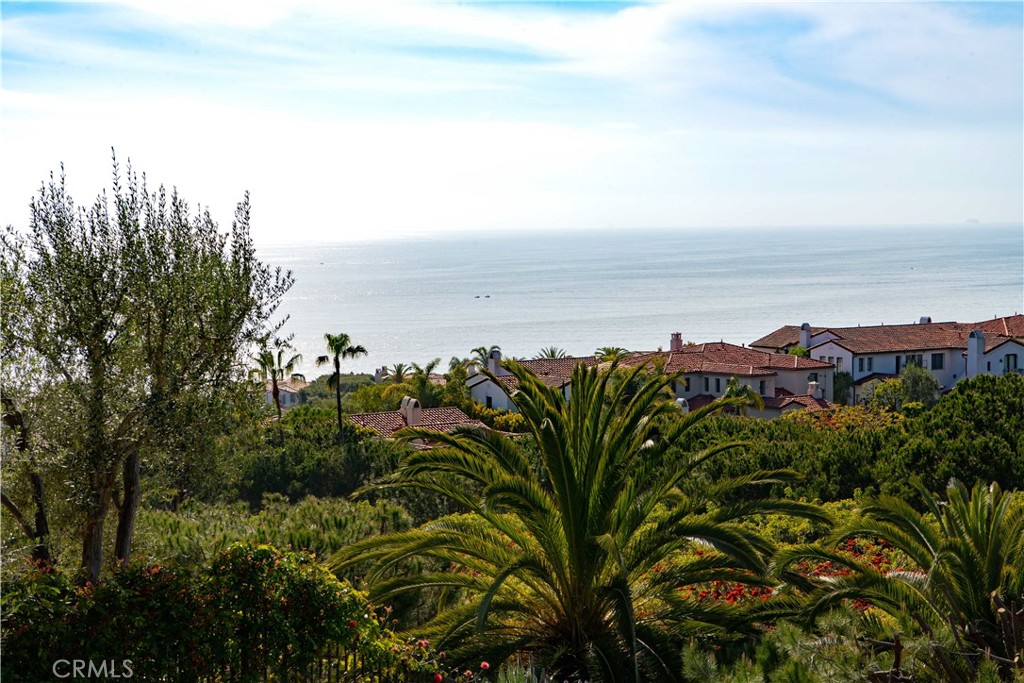 View from rear - 6 Surfspray Bluff, Newport Coast CA 92657 - photo 35