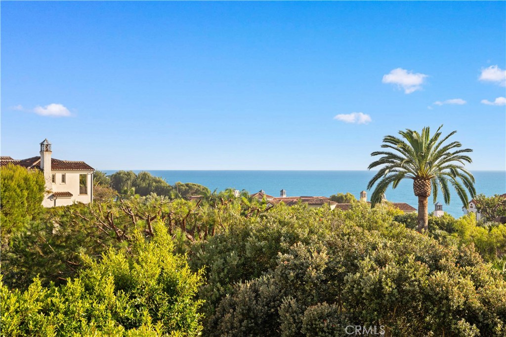 Ocean View from Master Bedroom - 60 Sidney Bay, Newport Coast CA 92657 - photo 43
