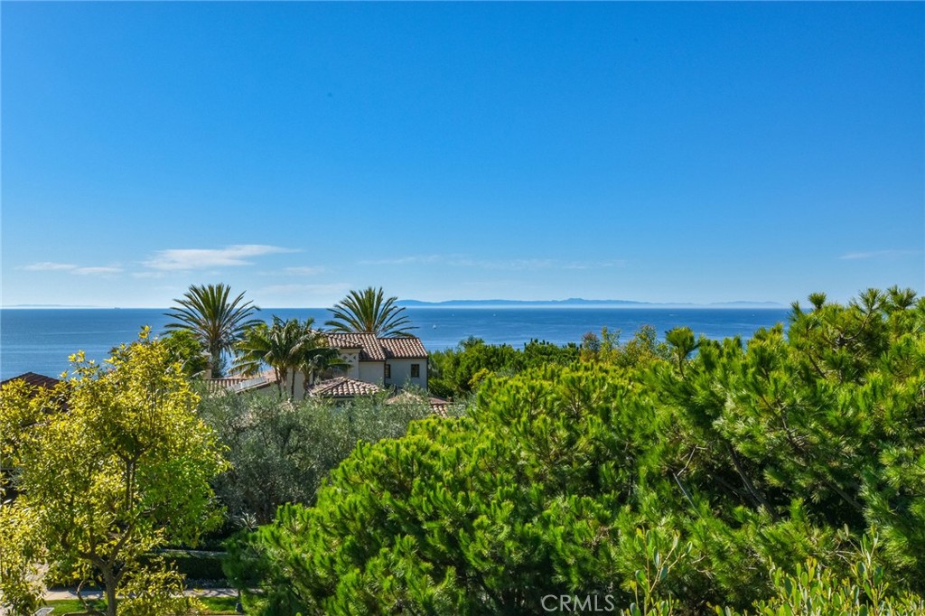 64 Archipelago Drive, Newport Coast CA 92657 - photo 58