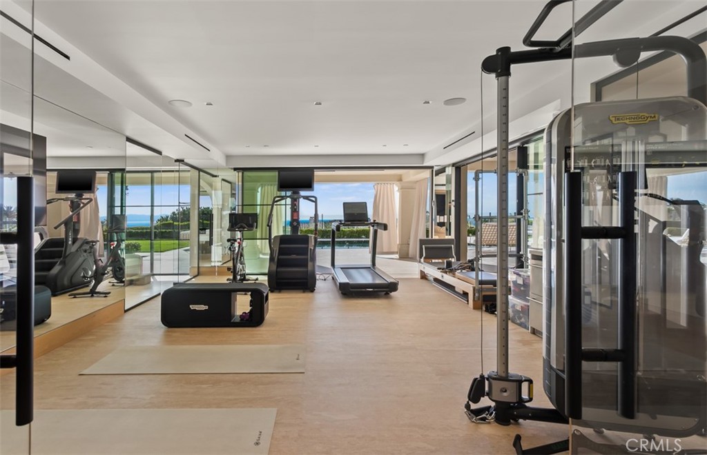 Walk out basement gym w/ motorized doors - 7 Sailview, Newport Coast CA 92657 - photo 66