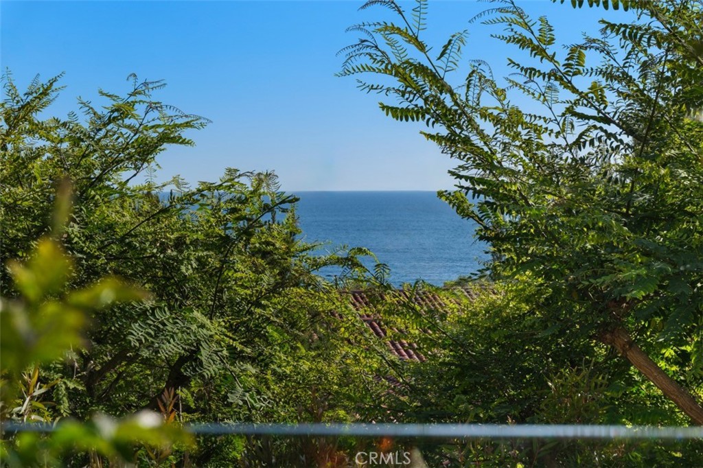 76 Sidra Cove, Newport Coast CA 92657 - photo 54