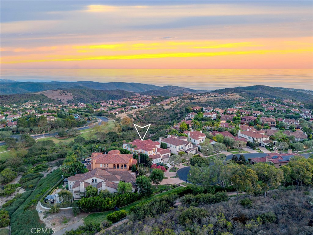 9 Coastal Canyon, Newport Coast CA 92657 - photo 73