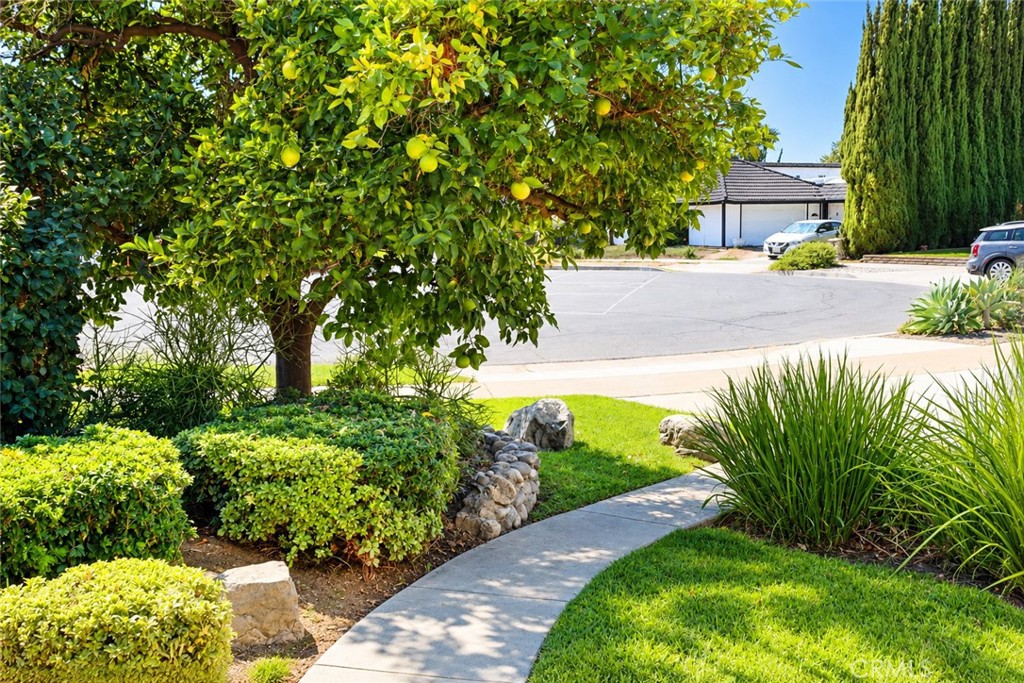 1087 N Greengrove, Orange CA 92867 - photo 26