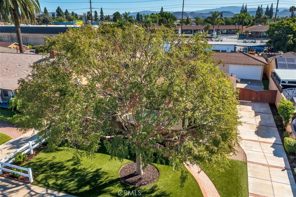 415 N Shattuck, Orange CA 92866 - photo 40
