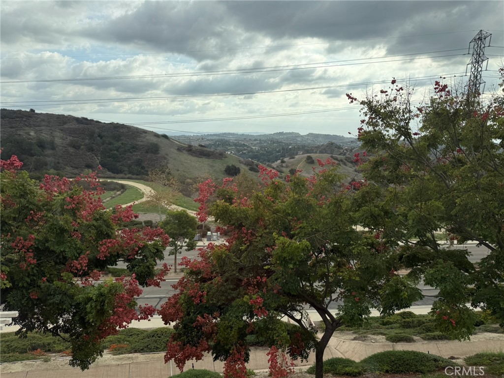 View from patio - 8118 E Loftwood Lane, Orange CA 92867 - photo 11