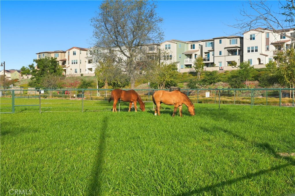 Neighborhood Horses - 361 Gelding Way, Rancho Mission Viejo CA 92694 - photo 1