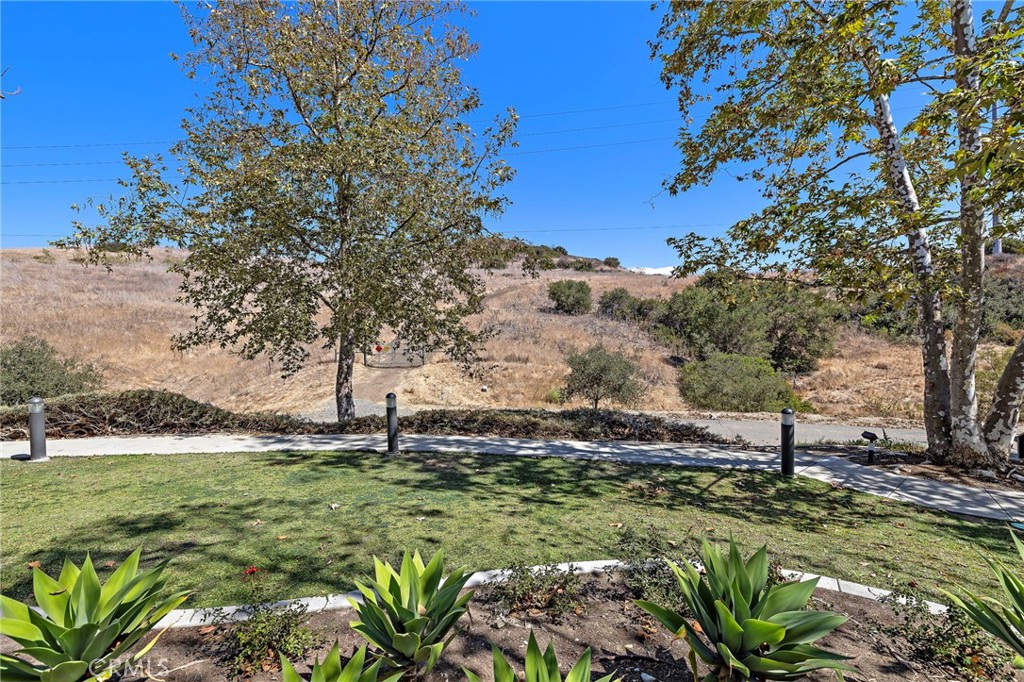 41 Adelfa Street, Rancho Mission Viejo CA 92694 - photo 18