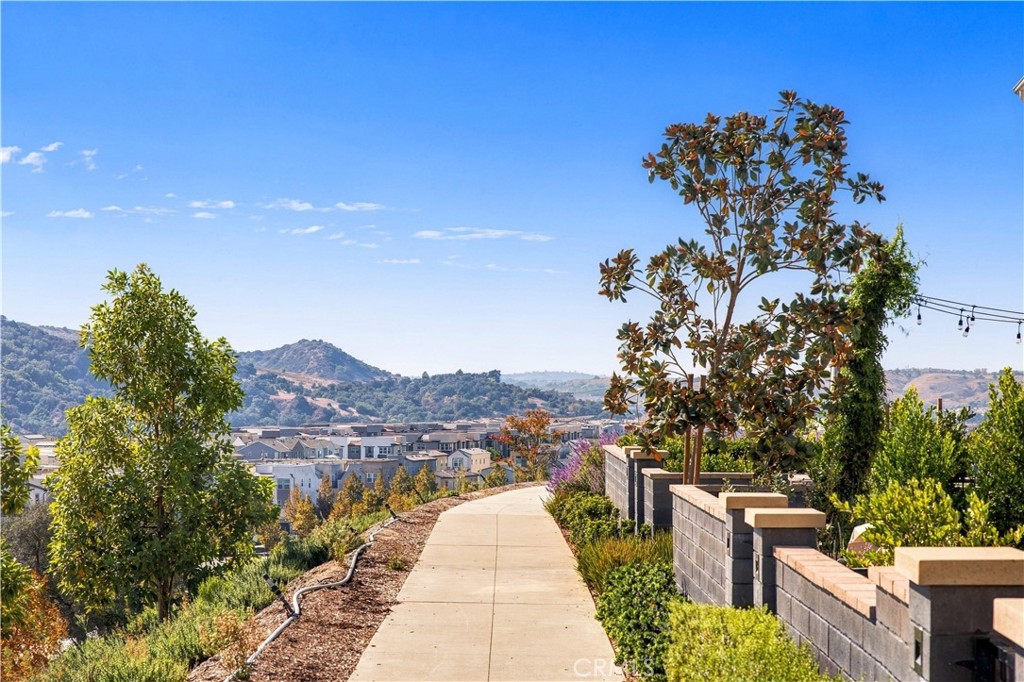 630 Bushel Road, Rancho Mission Viejo CA 92694 - photo 47