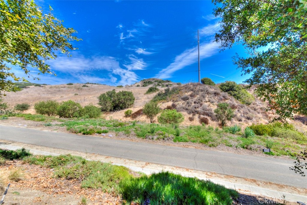 71 Adelfa, Rancho Mission Viejo CA 92694 - photo 6