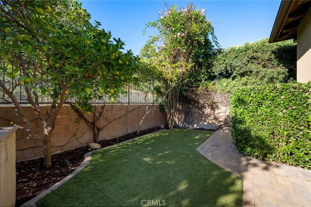 9 Bahari, Rancho Mission Viejo CA 92694 - photo 40