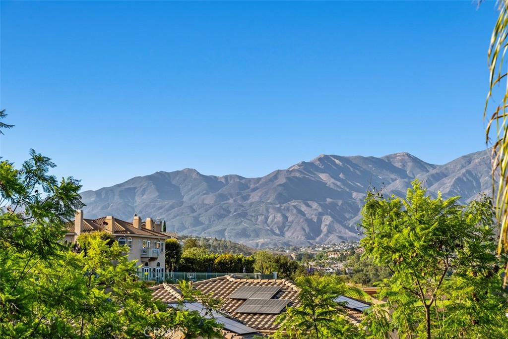 Mountain View from Primary Bedroom - 10 Thorn Oak, Rancho Santa Margarita CA 92679 - photo 10