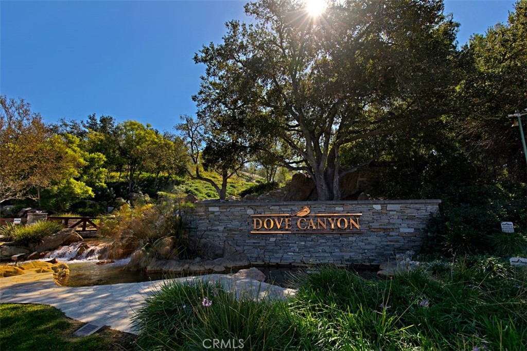 Dove Canyon Waterfall - 10 Thorn Oak, Rancho Santa Margarita CA 92679 - photo 64