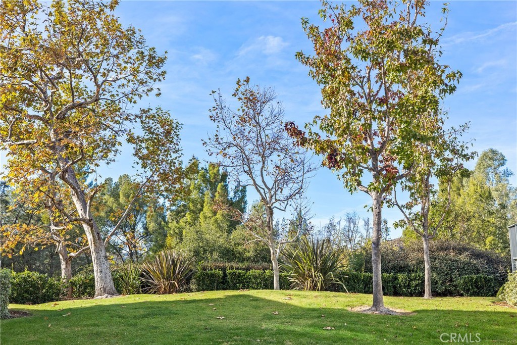 11 Aubrieta, Rancho Santa Margarita CA 92688 - photo 32