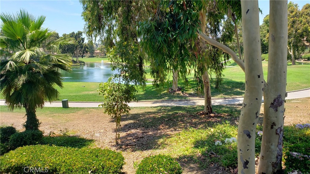 Gorgeous. - 11 Via Pausa, Rancho Santa Margarita CA 92688 - photo 37