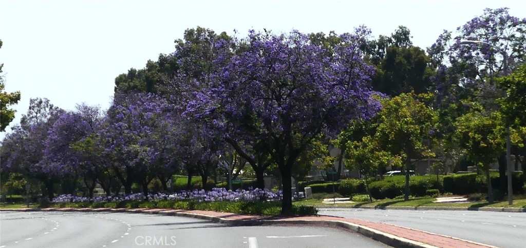 RSM is just a Great Place to Live! - 11 Via Pausa, Rancho Santa Margarita CA 92688 - photo 52